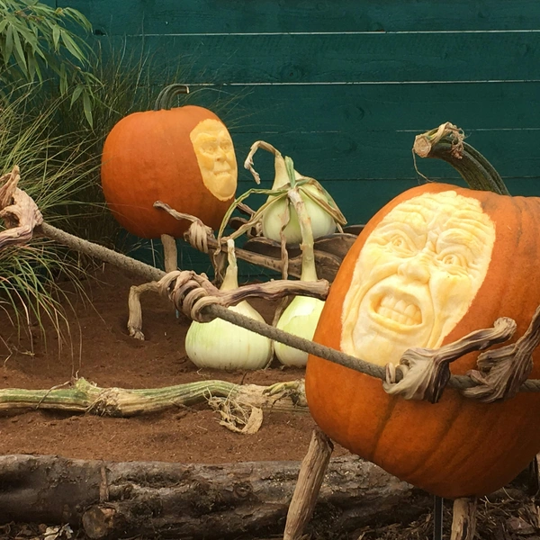 Источник: Unsplash