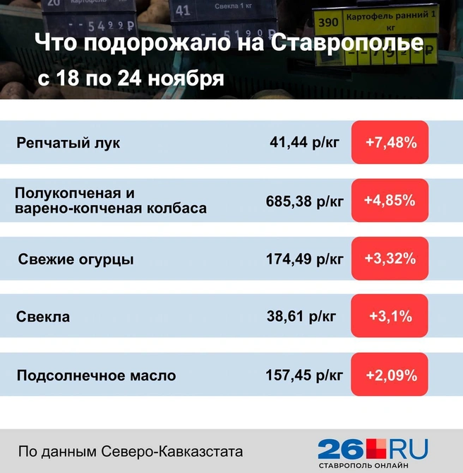 Источник: Дарья Гранкина / 26.RU