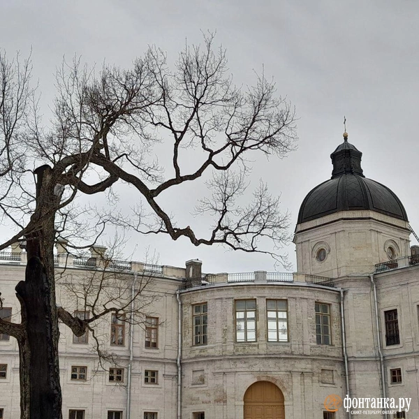 Гатчинский дворец | Источник: Виктория Пастухова