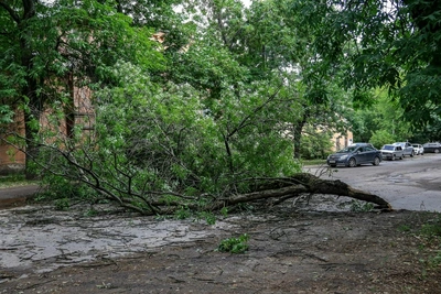 Ураган в Нижегородской области унёс жизнь девочки