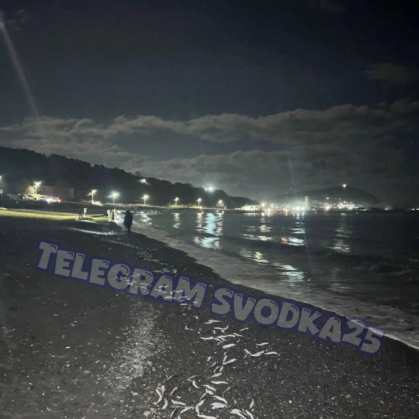 Источник: t.me/svodka25