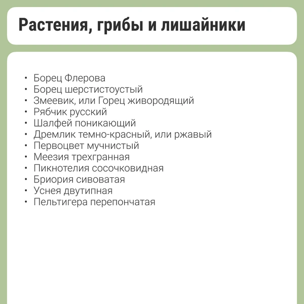 Источник: Кристина Калинина / NN.RU