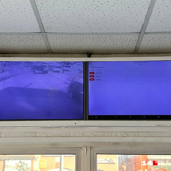 Телевизоры | Источник: Илья Константинов / 14.RU