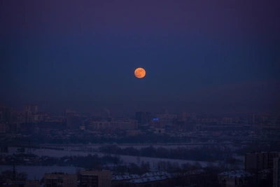 Главные события в Новосибирской области 19 апреля