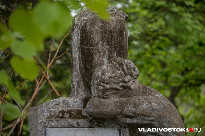 Источник: Елена Буйвол / VLADIVOSTOK1.RU