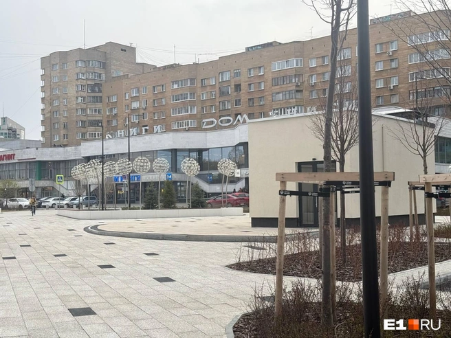Одуванчики светятся в темное время суток | Источник: Анастасия Баранова / E1.RU
