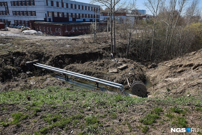 За территорией комплекса протекает речка, но ее состояние оставляет желать лучшего | Источник: Александр Ощепков / NGS.RU