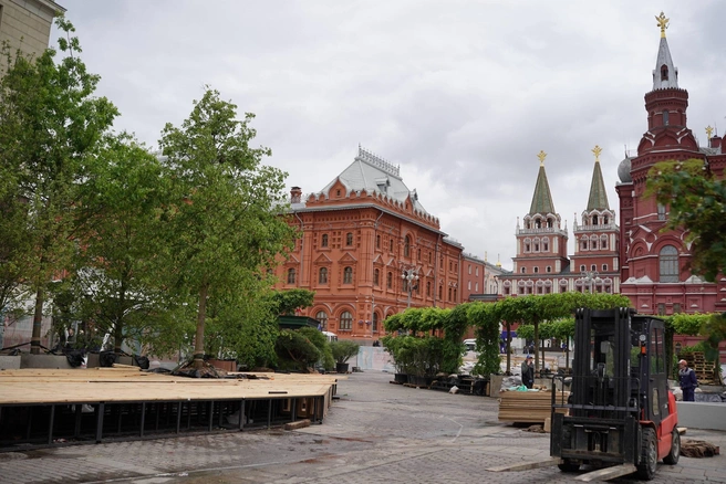 Организаторы уверены, что фестиваль не просто украшает Москву, но и возвращает в нее природу | Источник: Артём Рамазани-Зубов / MSK1.RU