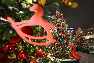 Volgograd officials explain second-grader's New Year's event exclusion