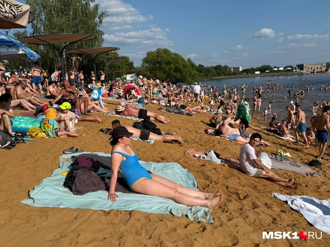 Свободных мест на пляже практически не найти | Источник: Артем Устюжанин / MSK1.RU