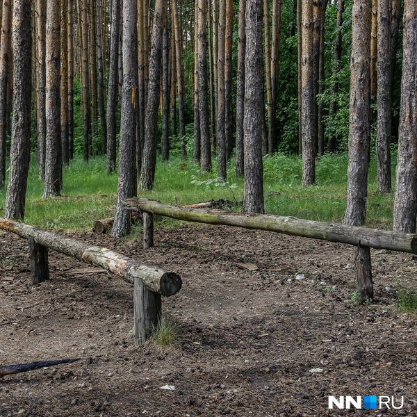 Источник: Наталья Бурухина / NN.RU