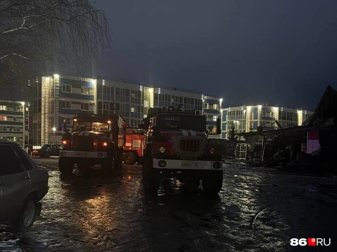 Источник: Анастасия Сидорова / 86.RU