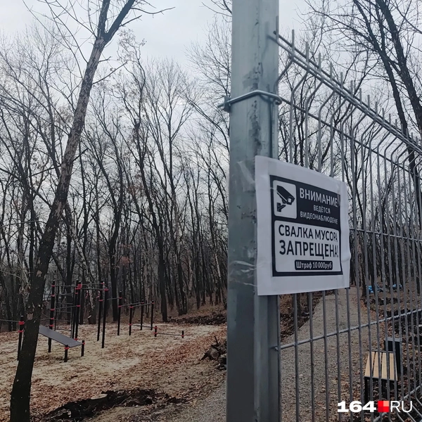 Источник: Сергей Гендин / 164.RU