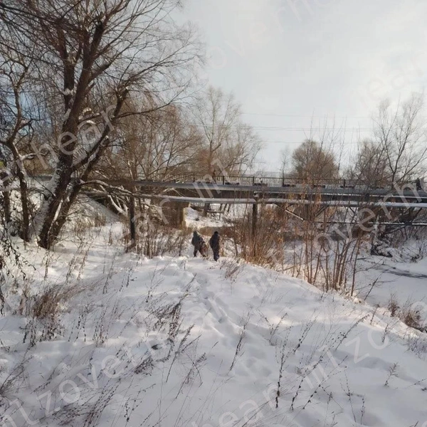 Источник: Подслушано Мелеуз / vk.com