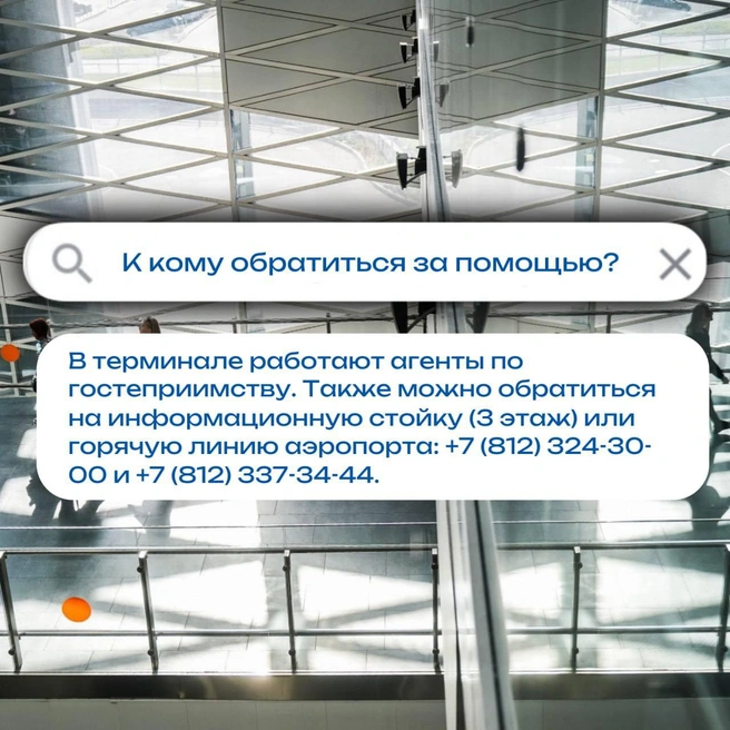 Под закрытым небом Пулково корректирует расписание и раздаёт пассажирам воду и еду | www.fontanka.ru
