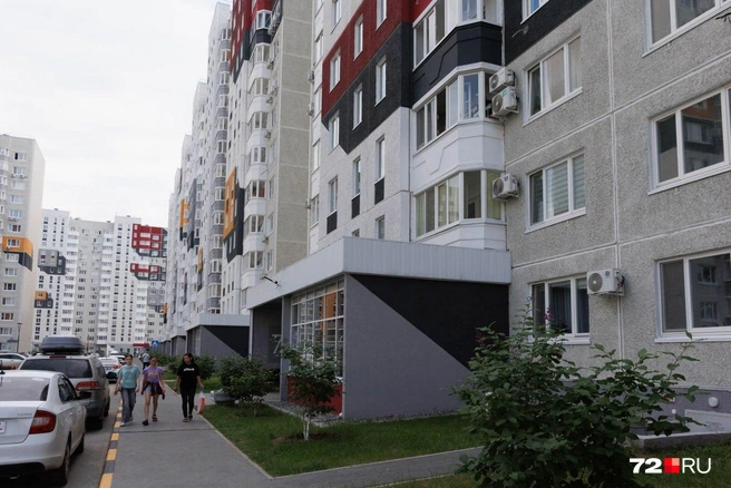 Люди переживают за свою маленькую соседку и в шоке от того, как она потерялась  | Источник: Ирина Шарова / 72.RU