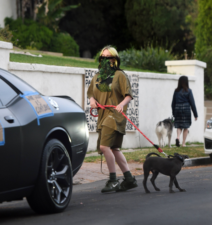 Городской камуфляж: Билли Айлиш в total khaki на прогулке с собакой
