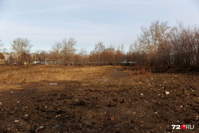 Видите яму? А она есть | Источник: Ирина Шарова / 72.RU