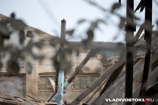 Источник: Елена Буйвол / VLADIVOSTOK1.RU