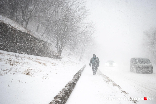 Источник: Елена Буйвол / VLADIVOSTOK1.RU