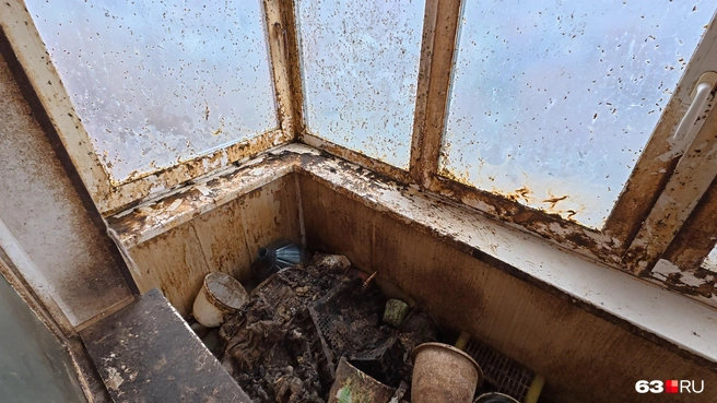 Видно, что ремонт тут когда-то был. Подоконники и окна&nbsp;— пластиковые. Ручки на месте, но окна никто никогда не открывает | Источник: Роман Данилкин / 63.RU