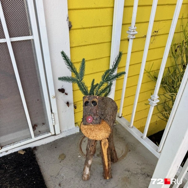 Самодельный? Встречает вас у входа | Источник: Читатель 72.RU