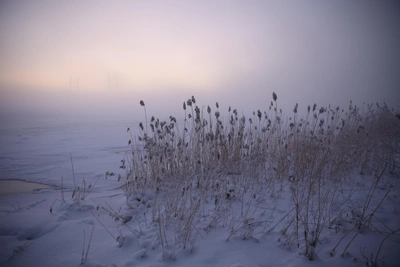 В Кузбассе ожидаются морозы до -38 градусов