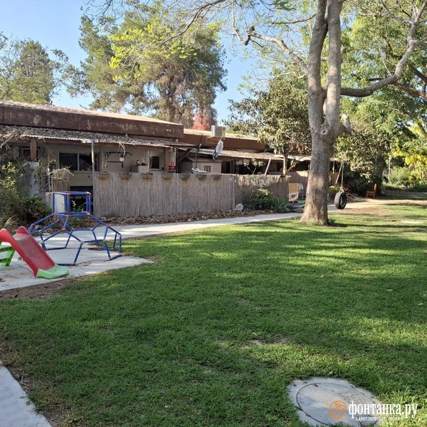 Источник: Ирина Багликова / «Фонтанка.ру»