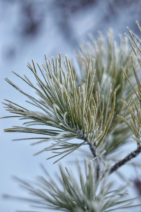 Источник: Анастасия Руднева / Vk.com