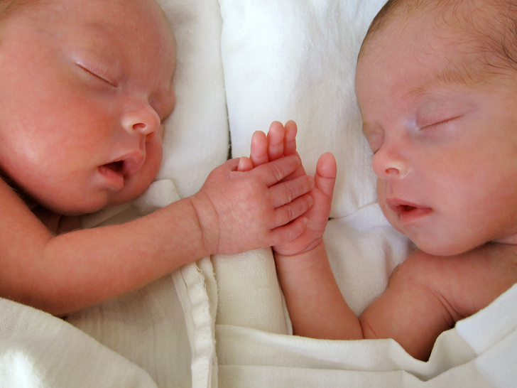 как рождаются близнецы и двойняшки