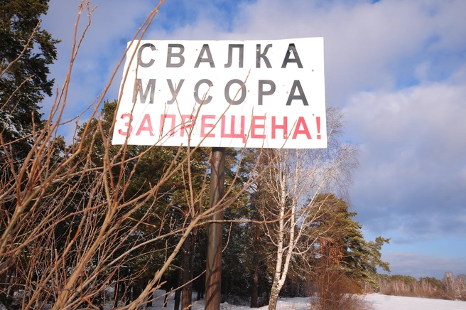 Источник: Артем Устюжанин / E1.RU