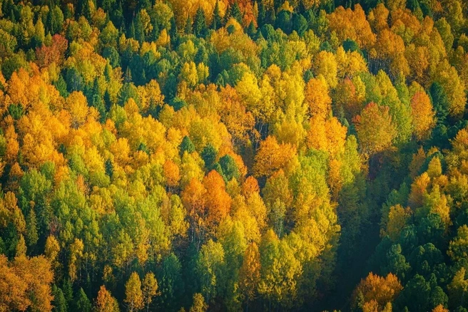Отличная фотография для обоев рабочего стола | Источник: Руслан Кухарук / T.me