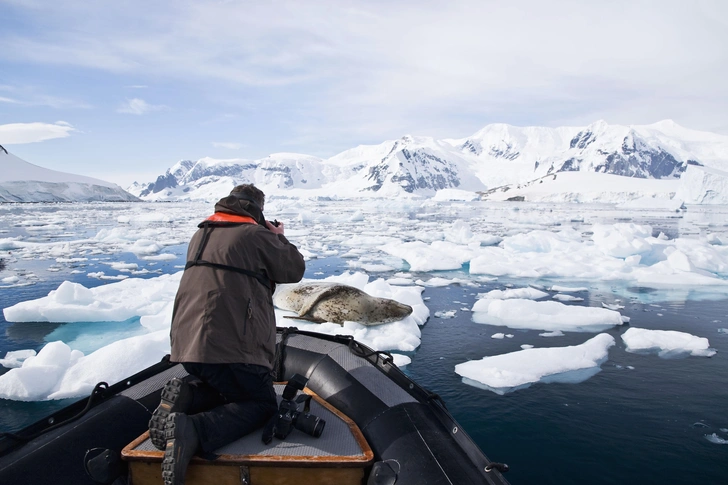 National Geographic фотографы ақбөкендерді сақтап қалу үшін Алматыға келген