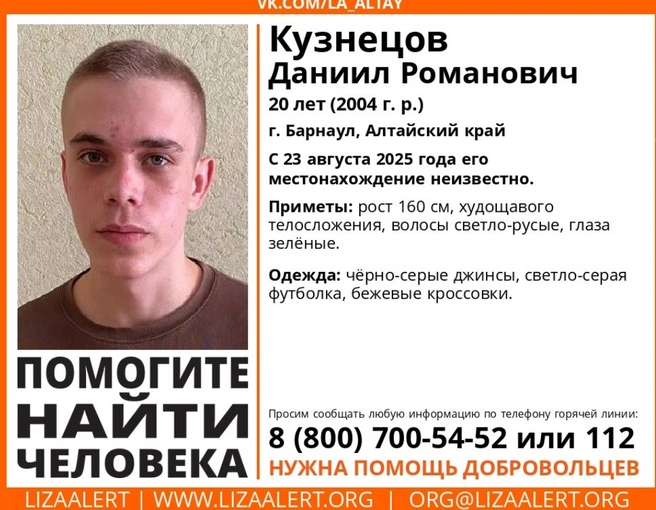 Возбуждено уголовное дело | Источник: Поисково-спасательный отряд «Лиза Алерт»