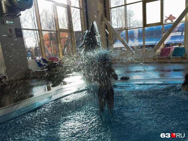 Много разных душей, поливалок и прочих штук, разбрызгивающих воду во все стороны | Источник: Александра Исмайлова / 63.RU