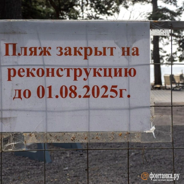 Источник: Михаил Огнев / «Фонтанка.ру»