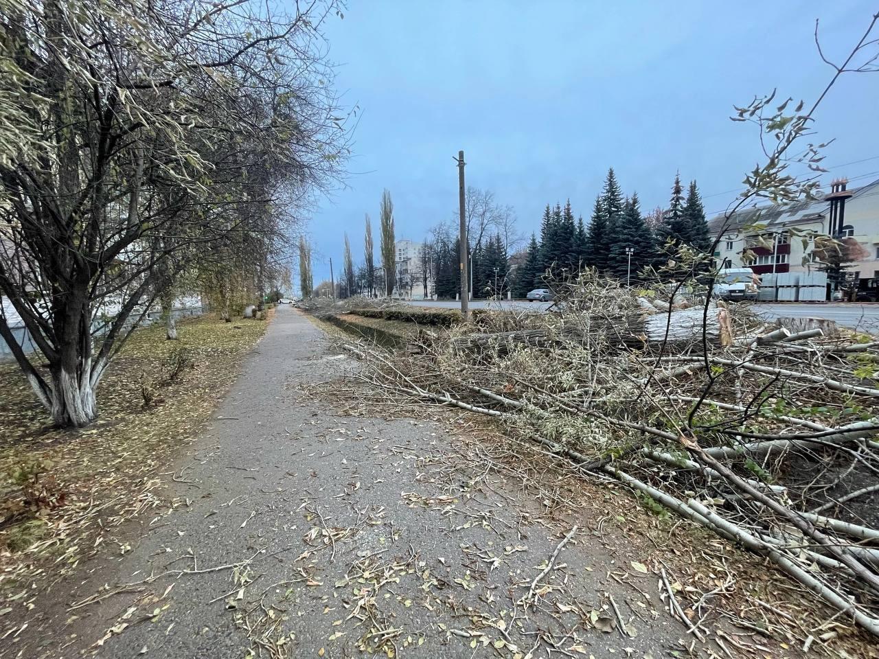 «Был зеленый сад, теперь будет каменный городок»: на улице Правды в Уфе спилили деревья