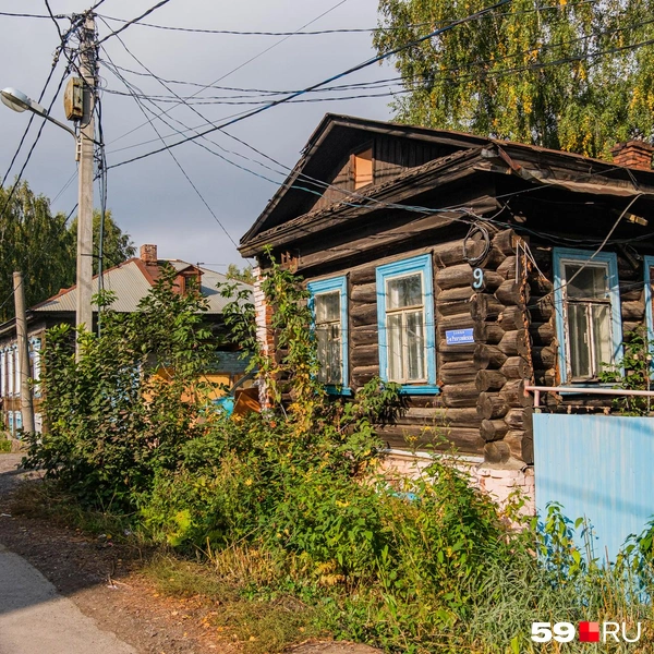 Здесь много зелени | Источник: Тимофей Калмаков / 59.RU