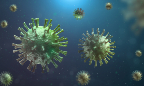 Фото №1 - Инфекционист назвала способ предотвратить тяжелое развитие коронавируса