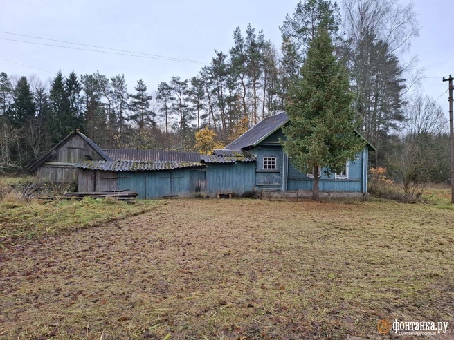 Источник: Ирина Багликова / «Фонтанка.ру»