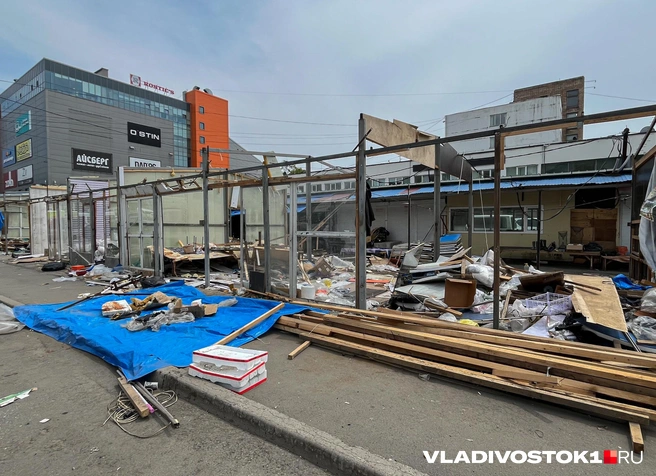 Источник: Елена Буйвол / VLADIVOSTOK1.RU