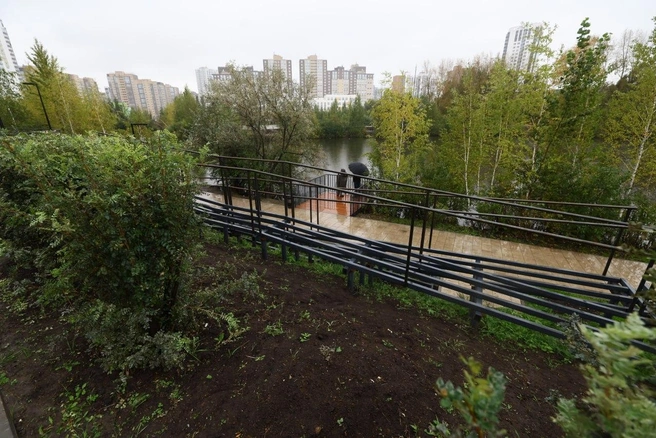 Источник: пресс-служба правительства Челябинской области 