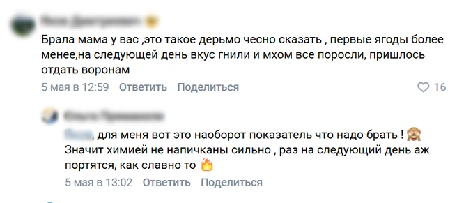 Источник: «Шеф, сезон!» &amp; «Шеф, краба!» | Архангельск / Vk.com