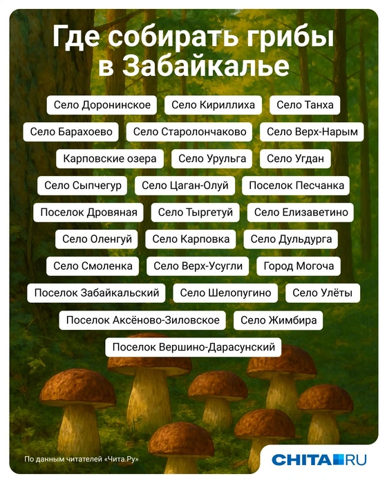 Источник: Евгения Бикунова / Городские медиа