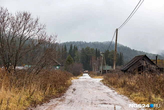 Бурьян кругом | Источник: Мария Ленц / NGS24.RU