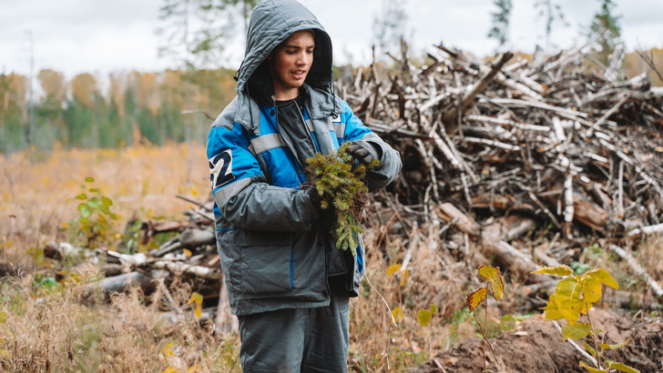 Компенсация за негатив: 5 историй о людях, которых спасают деревья
