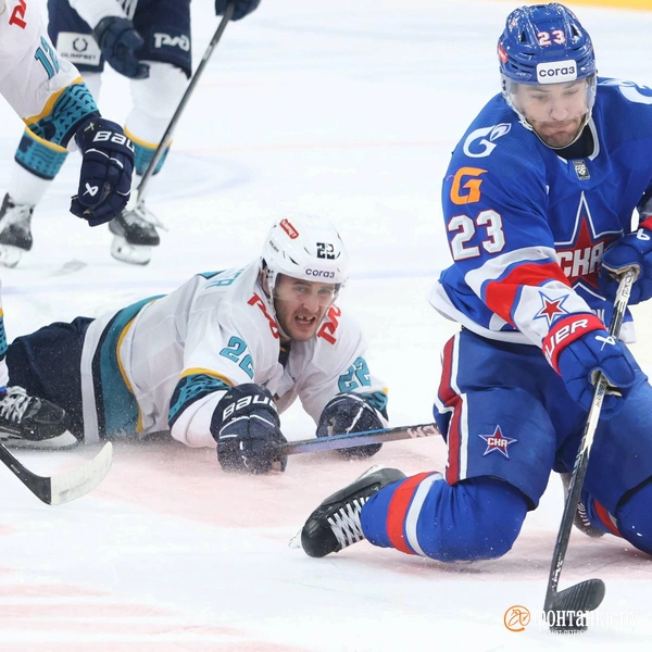 Источник: Сергей Михайличенко / «Фонтанка.ру»