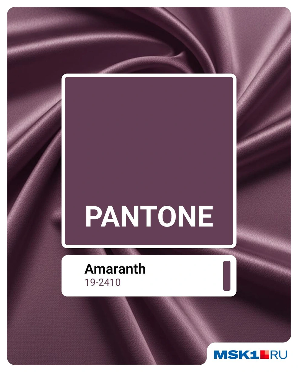 Amaranth&nbsp;— насыщенный ягодно-фиолетовый | Источник: Евгения Бикунова / Городские медиа
