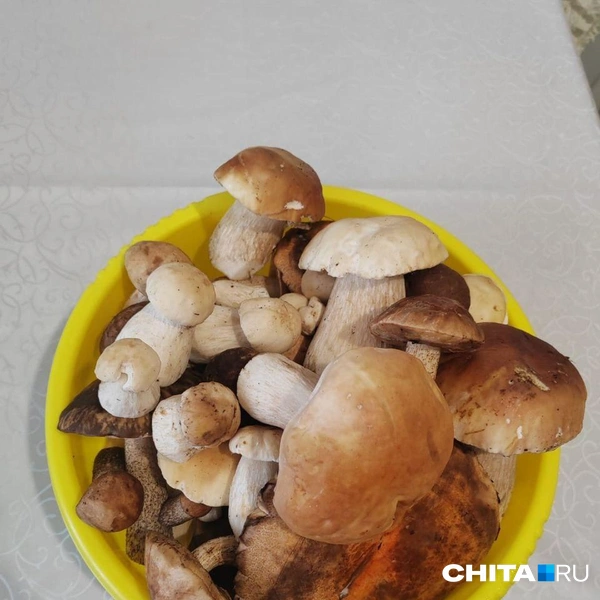 Источник: очевидец