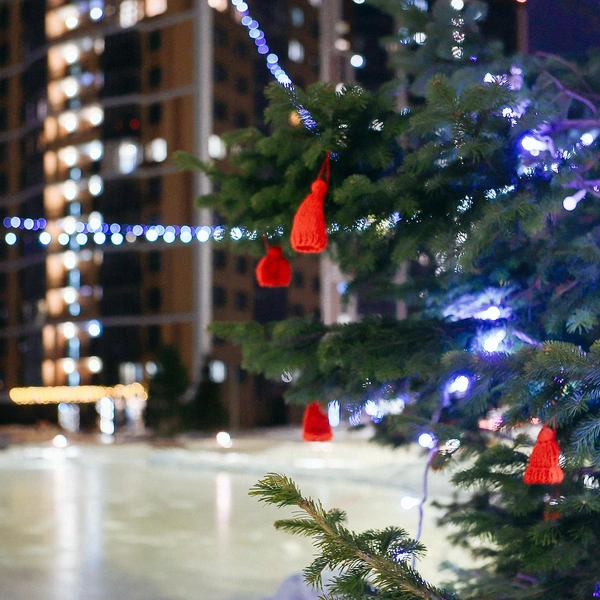 В центре проведения массовых мероприятий откроют каток к Новому году | Источник: «Группа Мета»